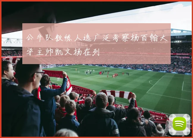 公牛队教练人选广泛考察杨百翰大学主帅凯文杨在列