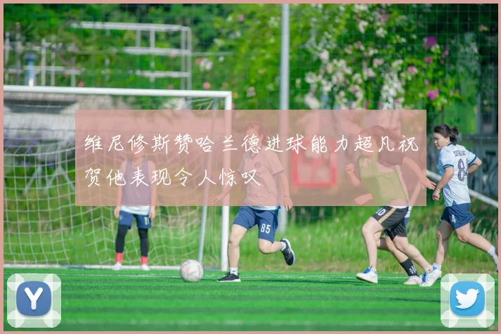 维尼修斯赞哈兰德进球能力超凡祝贺他表现令人惊叹